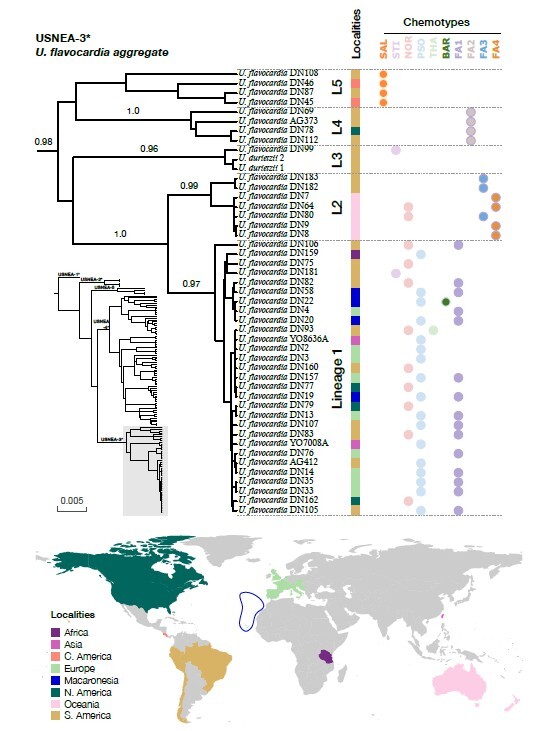 Figure from article: From one to five putative...